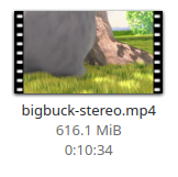A video file title "BigBuck stereo.mp4"