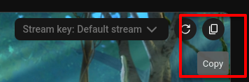 Copying a stream key